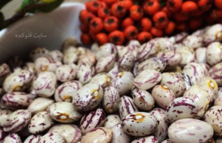 فروش و پخش عمده لوبیا چیتی خمین