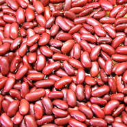 فروش انواع لوبیا قرمز در بازار