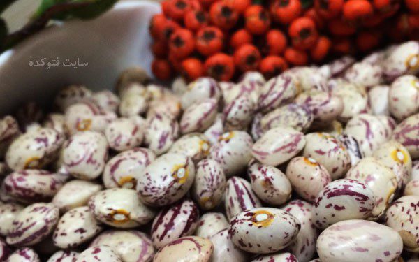 پخش عمده لوبیا خارجی در بازار تهران
