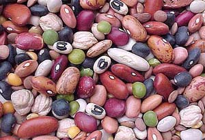 تفاوت انواع لوبیا قرمز در بازار ایران